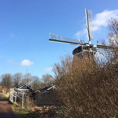 Alojamento de Acomodação e Pequeno-almoço 49 4*