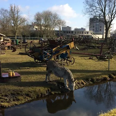 49 Alojamento de Acomodação e Pequeno-almoço Haarlem