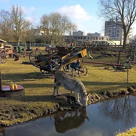 49 4* Haarlem